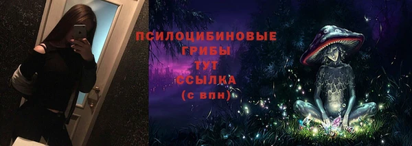 шишки Алексин